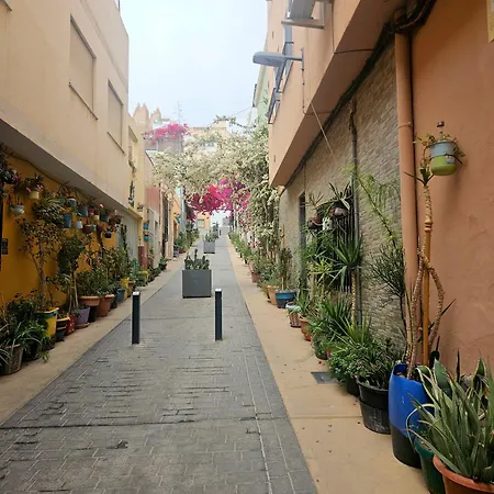 Moderno Y Acogedor. Almería