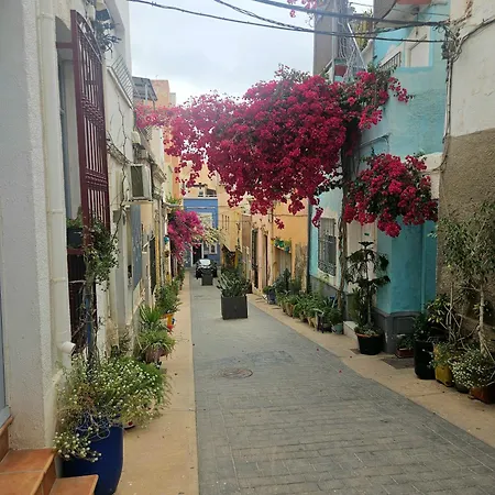 Daire Moderno Y Acogedor. Almería